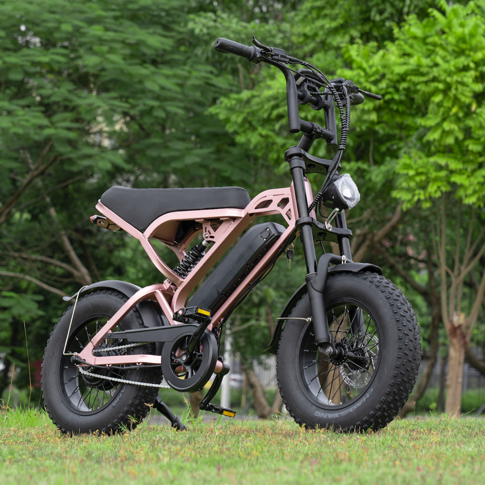 SCRAMBLER V20 MINI