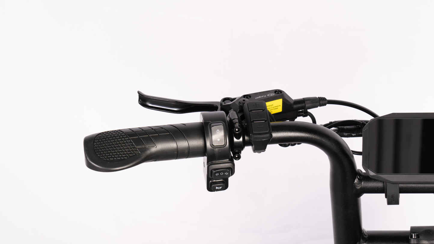 SCRAMBLER V20 MINI