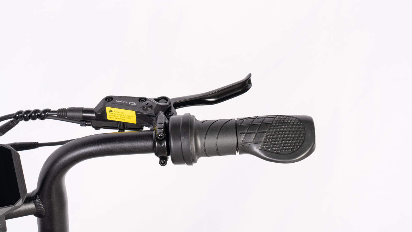 SCRAMBLER V20 MINI