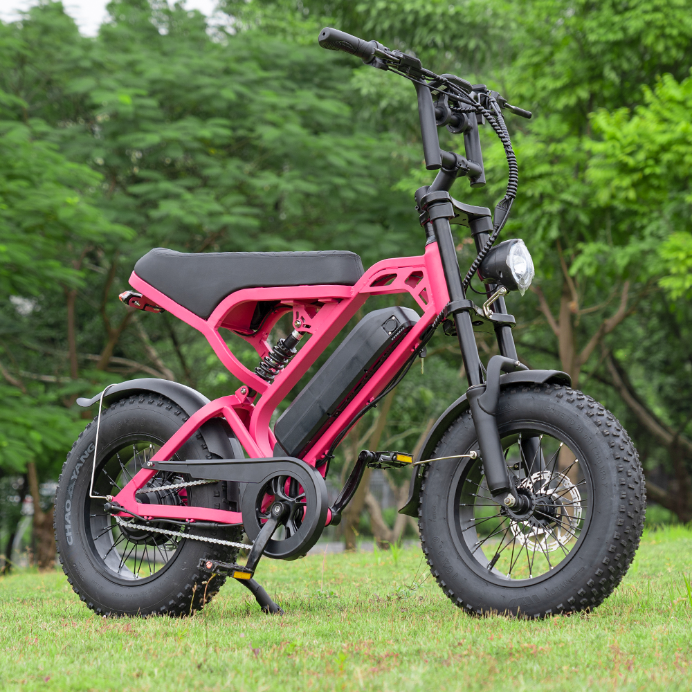 SCRAMBLER V20 MINI