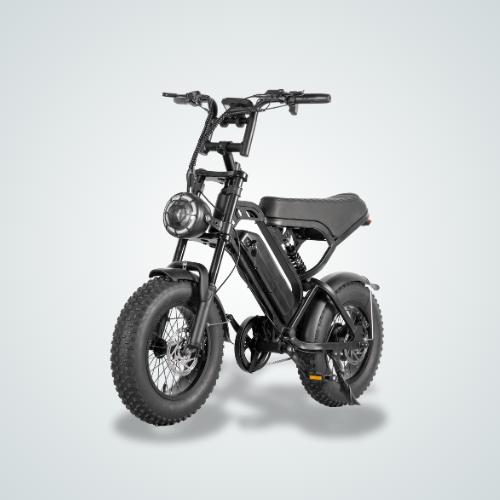 E-BIKES